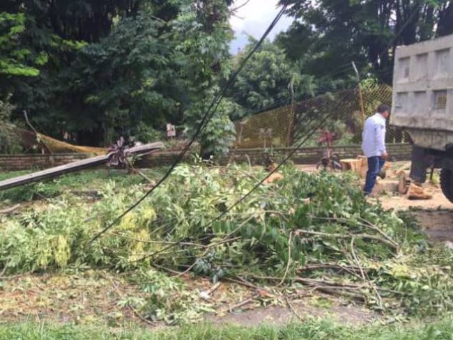 Vendaval en Santa Rosa causa daños en viviendas y caída de árboles