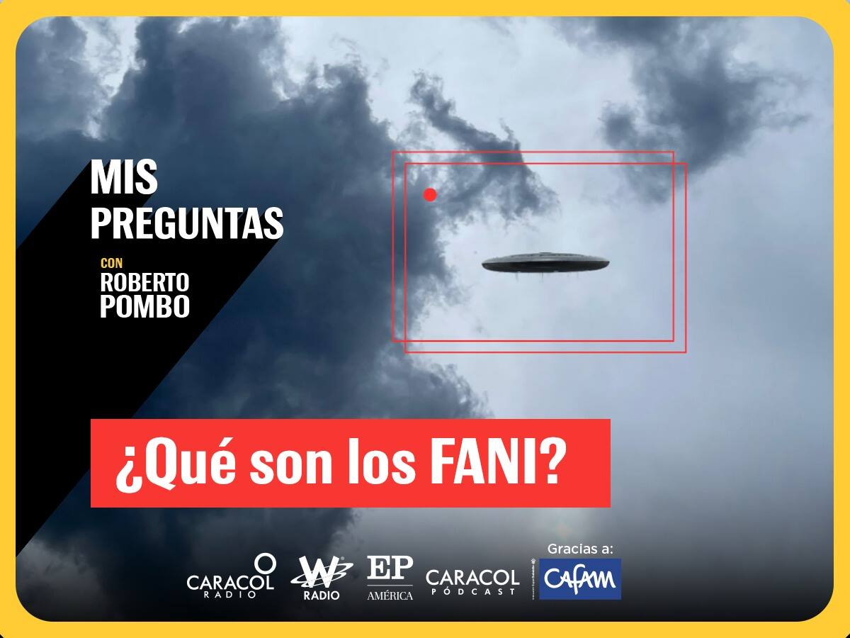 Mis Preguntas con Roberto Pombo: ¿Qué son los FANI?