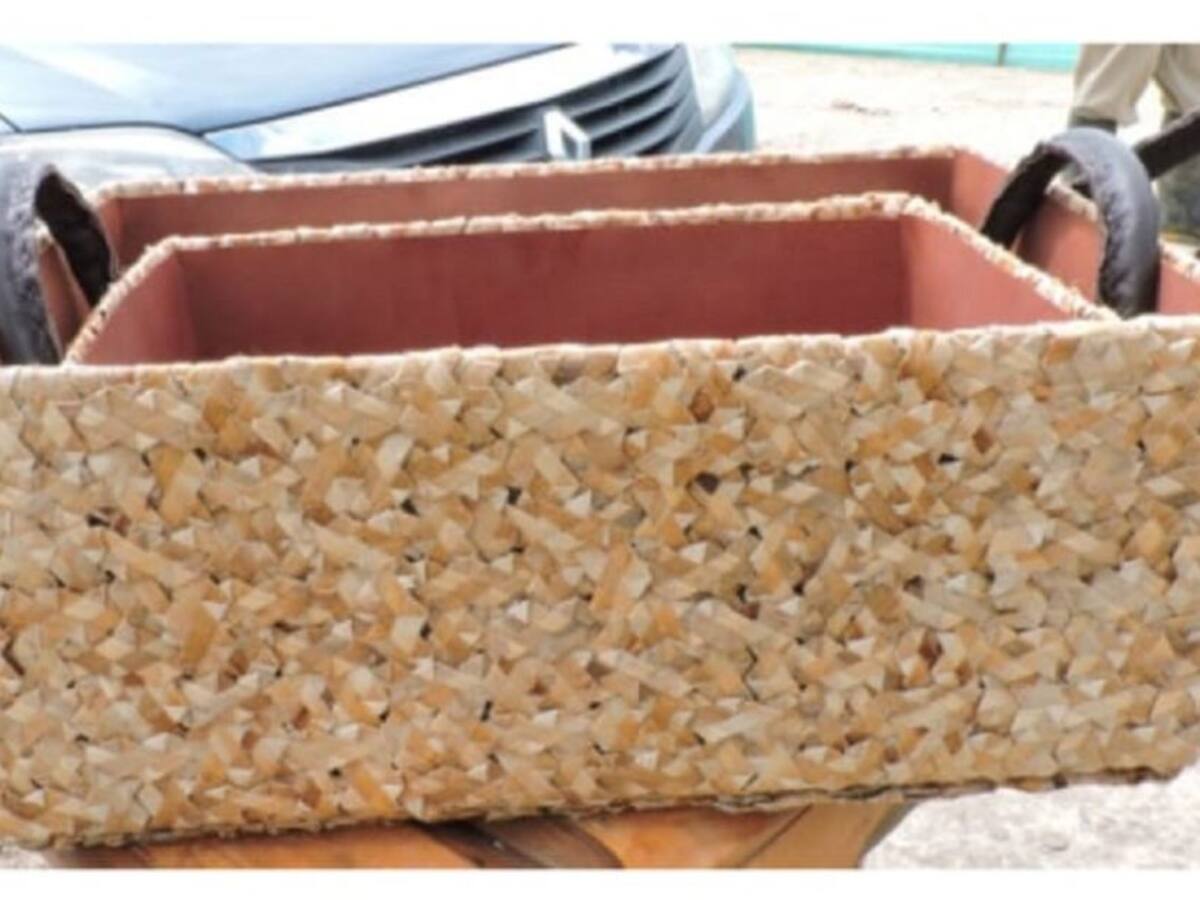 Luzca elegantes bolsos elaborados con residuos del plátano
