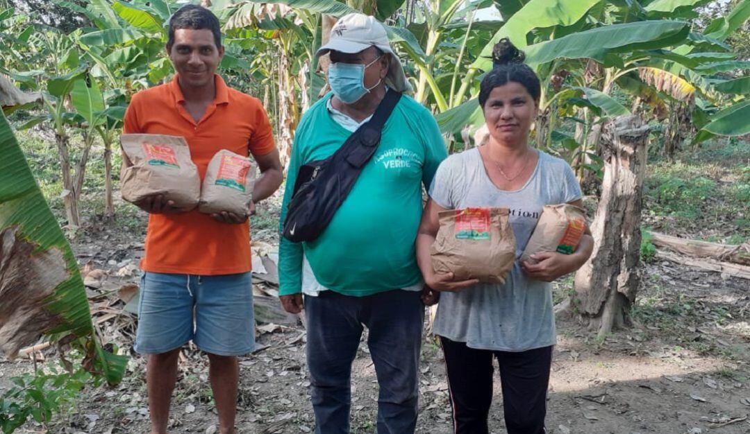Productores de Pinillos, en Bolívar, recibiendo tres kilos de semilla biofortificada