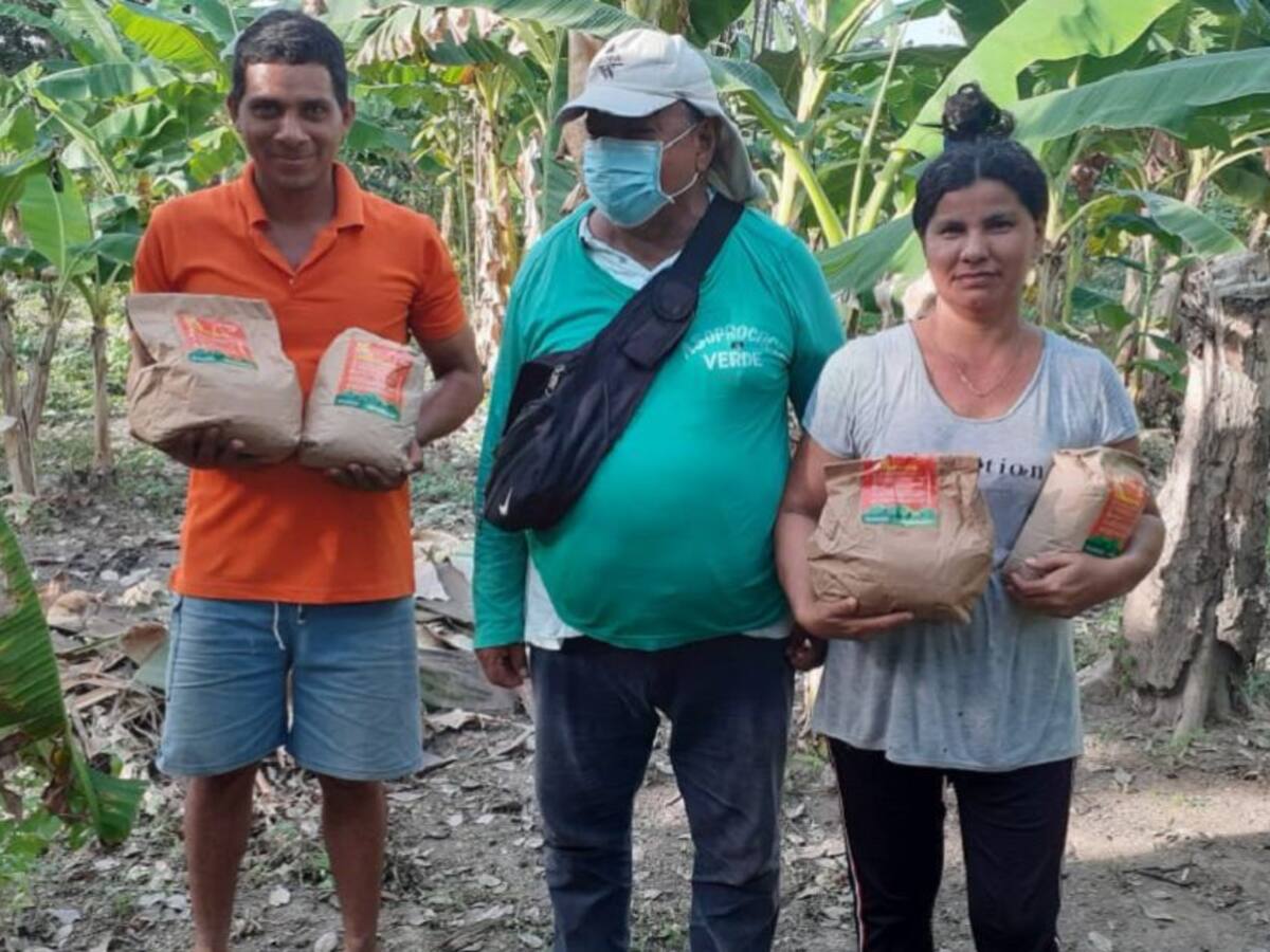 Campesinos producirán más de 500 toneladas de alimentos biofortificados