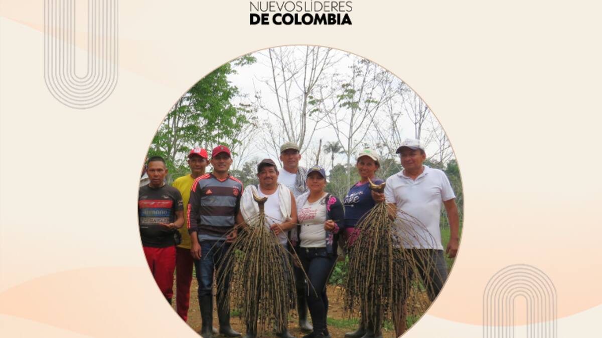 Coomagua: una alternativa sostenible que rentabiliza y protege los bosques del Chiribiquete