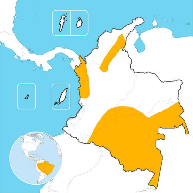 Crédito de realización de este mapa al Museo de Historia Natural de la Universidad Nacional, publicado en: https://historianatural.unal.edu.co/expo1/aguila.html