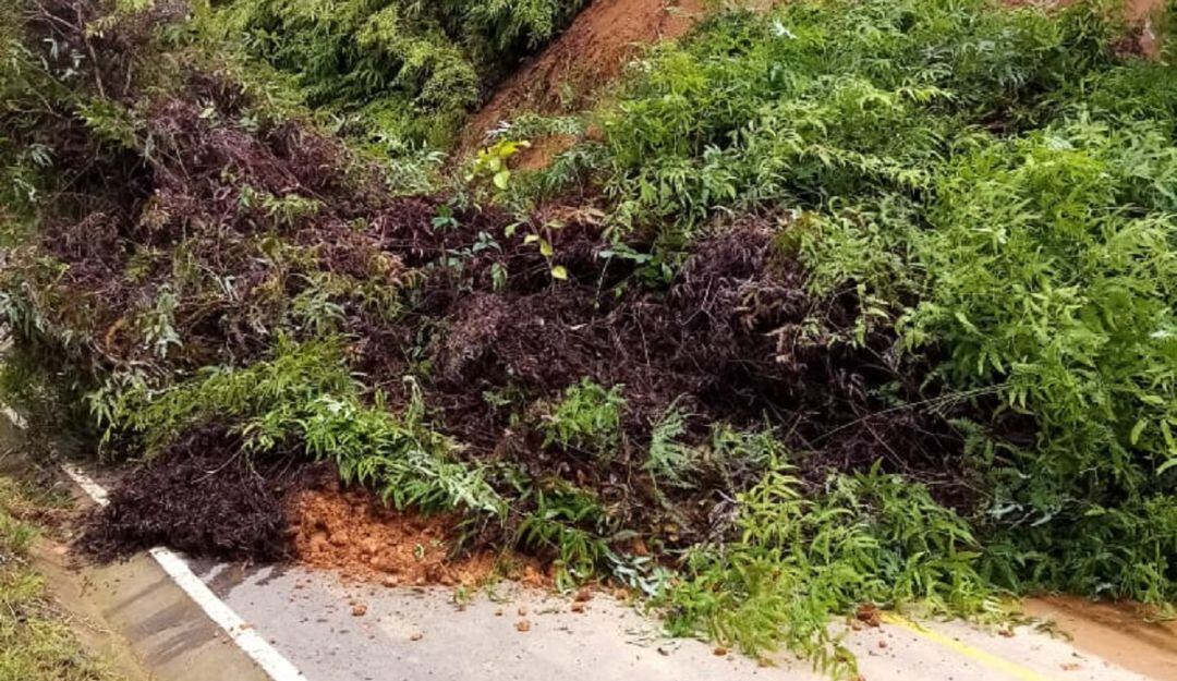 Foto: Secretaría de Medio Ambiente de Caldas.