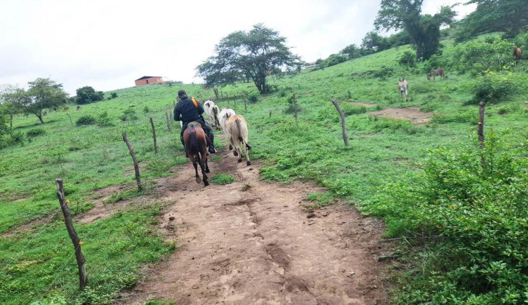 El hombre capturado tiene una condena de detención domiciliaria por el delito de porte ilegal de armas de fuego  