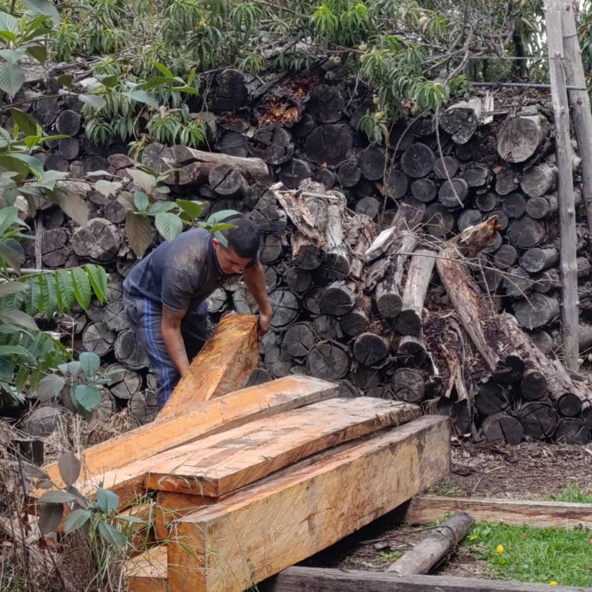Golpe al tráfico ilegal de madera en el municipio de Ubaté en Cundinamarca