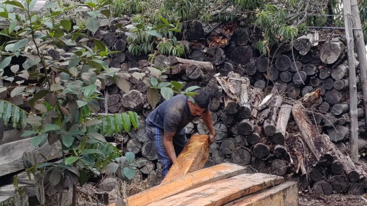 Golpe al tráfico ilegal de madera en el municipio de Ubaté en Cundinamarca