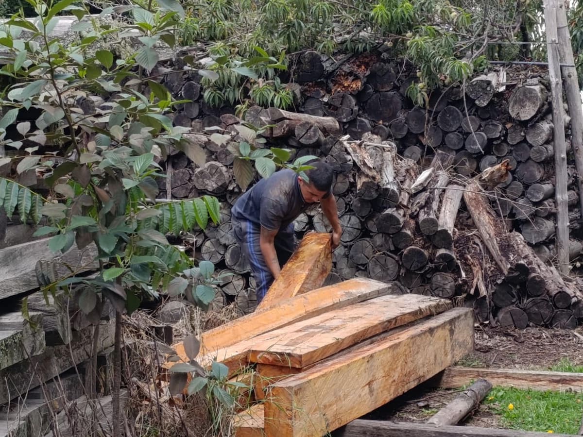 Golpe al tráfico ilegal de madera en el municipio de Ubaté en Cundinamarca