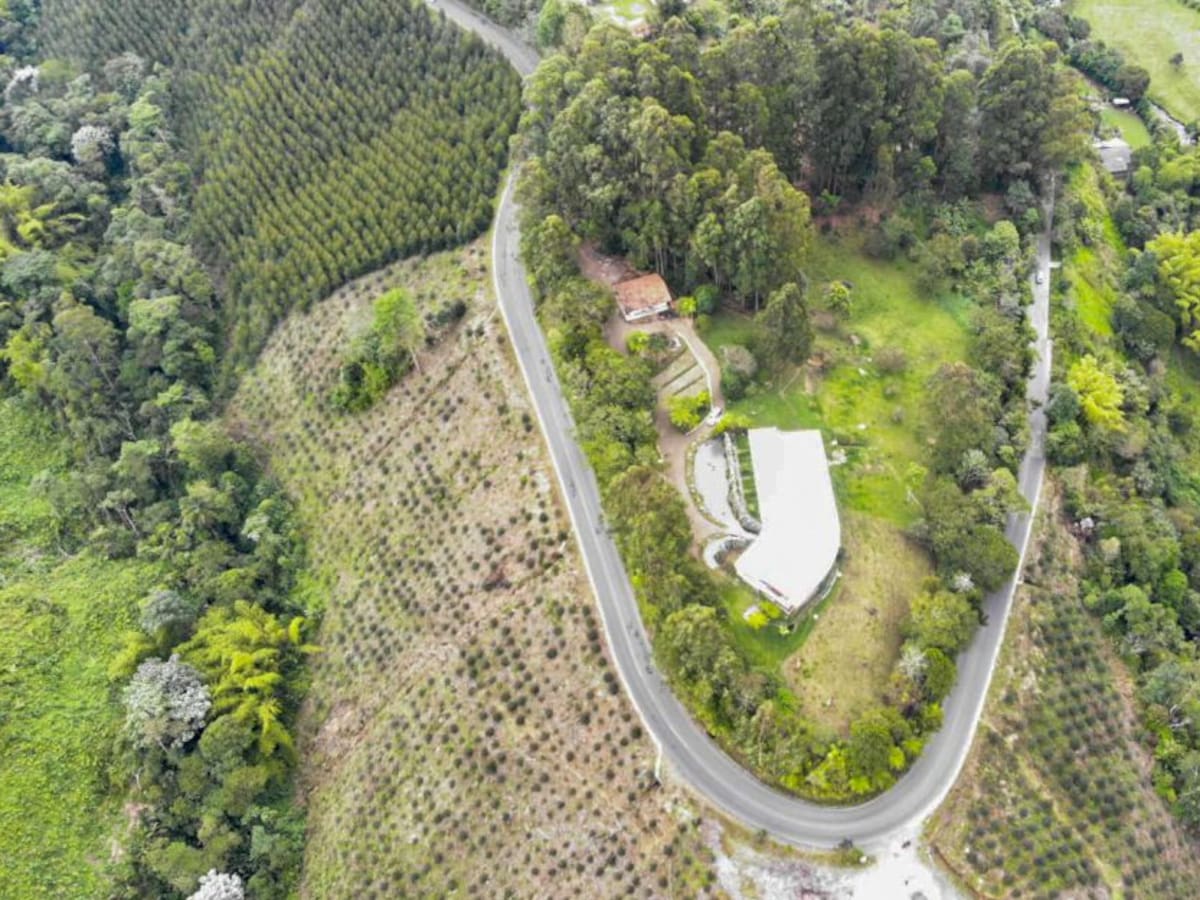 3800 millones de pesos para mejorar vía entre Salento y Autopistas del Café