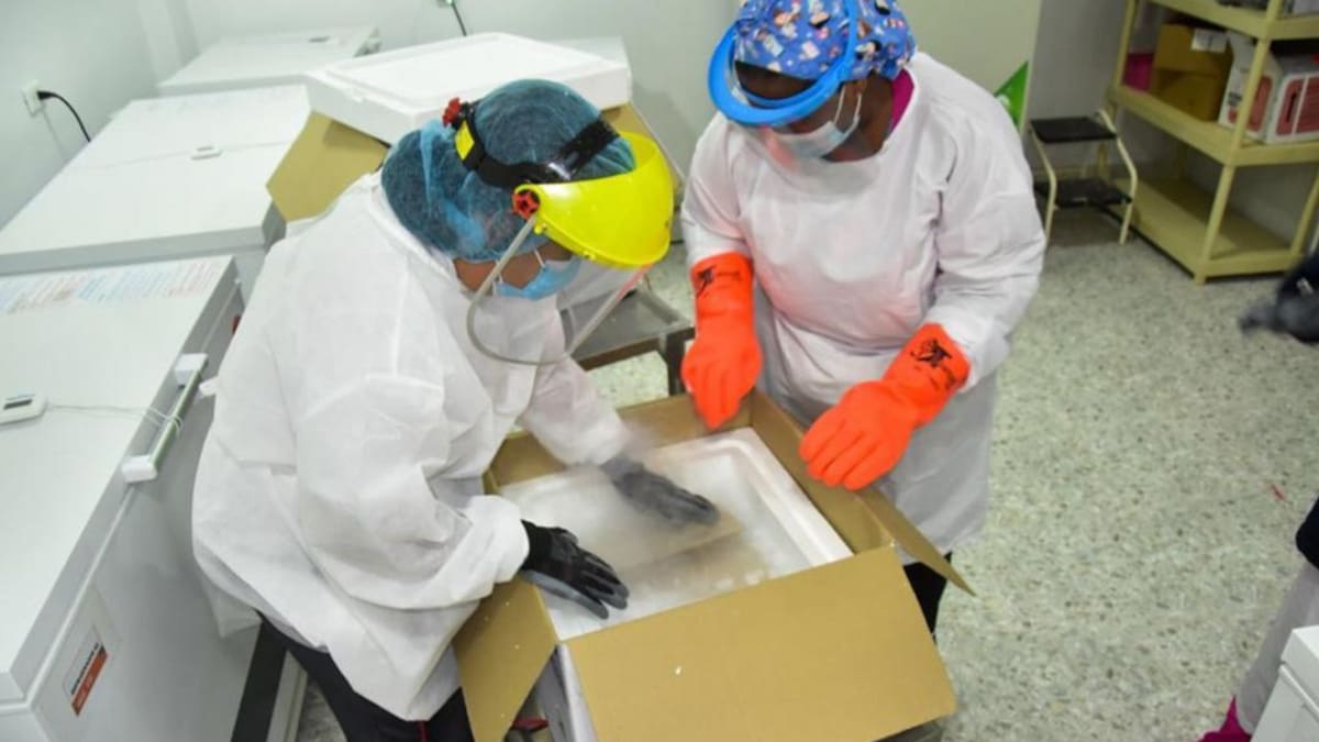 Santa Marta recibe 3.120 vacunas AstraZeneca para adultos mayores