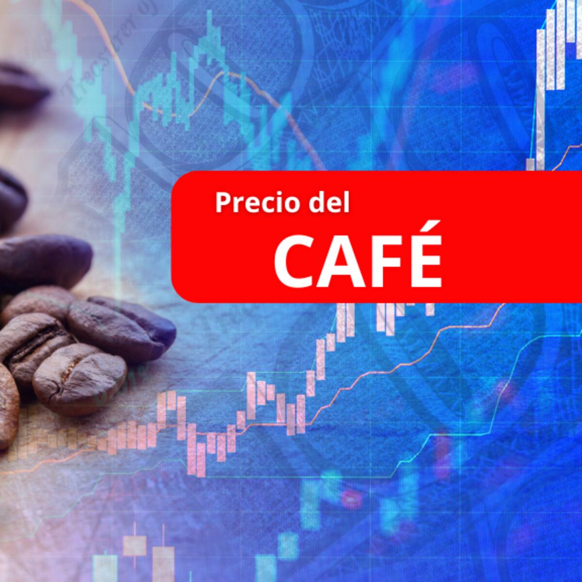 Precio café HOY 16 de julio en Colombia: este es el valor de la carga de 125 kg, según FNC