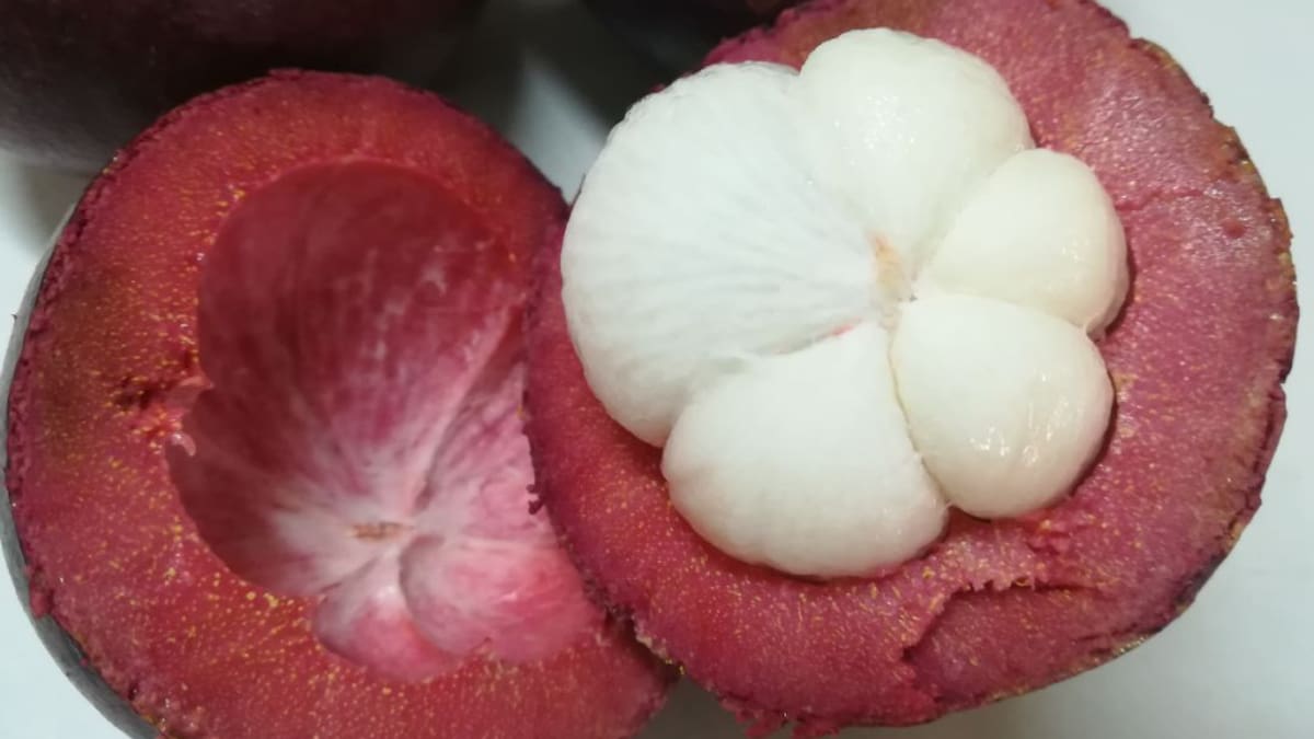 El mangostino, ¿una fruta milagrosa?