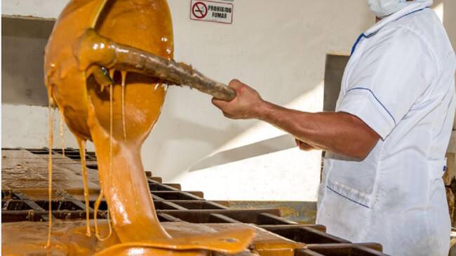 Producción de panela
