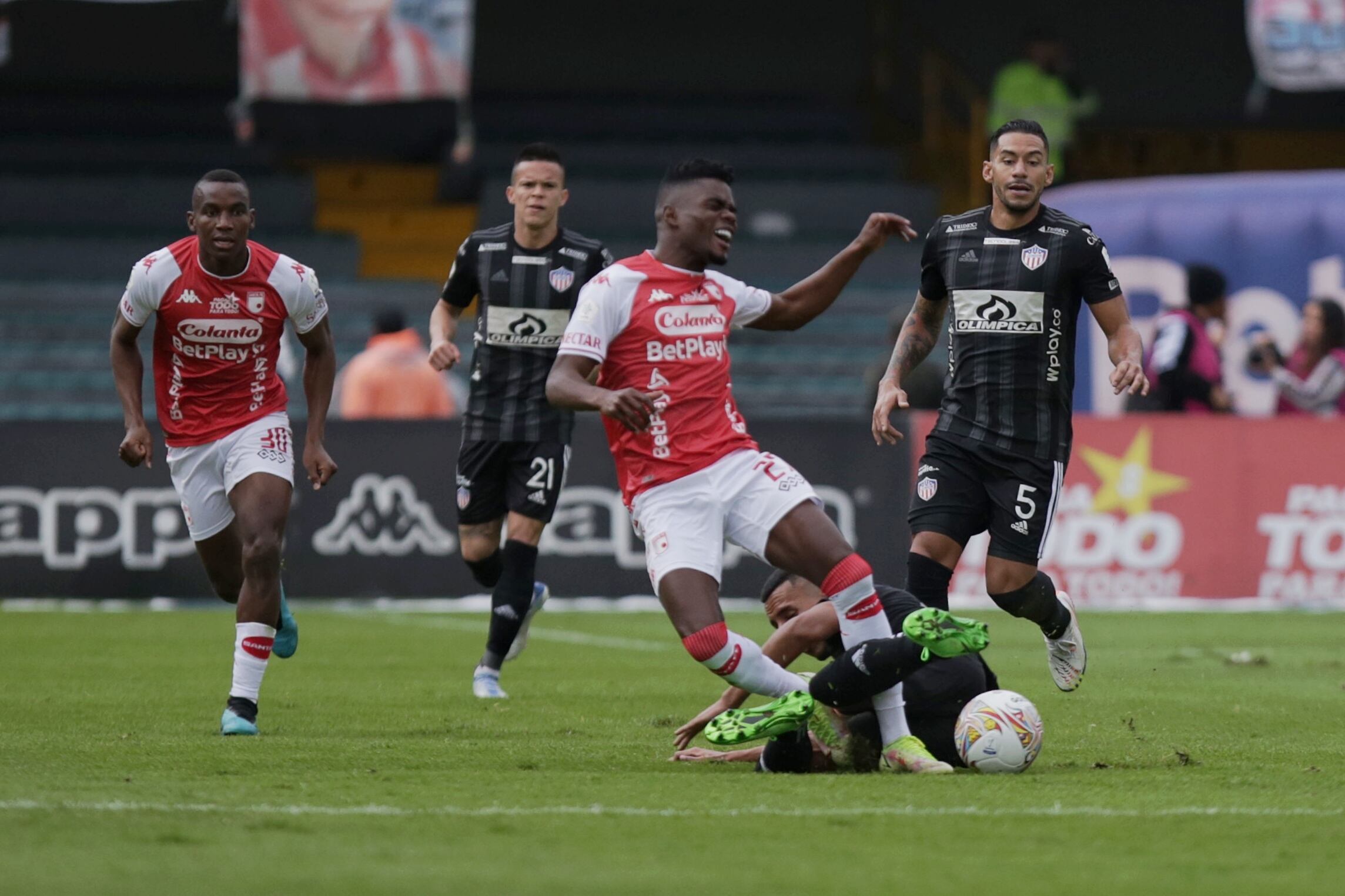 Santa Fe y Junior estarán presentes en la Copa Sudamericana del próximo año / Colprensa
