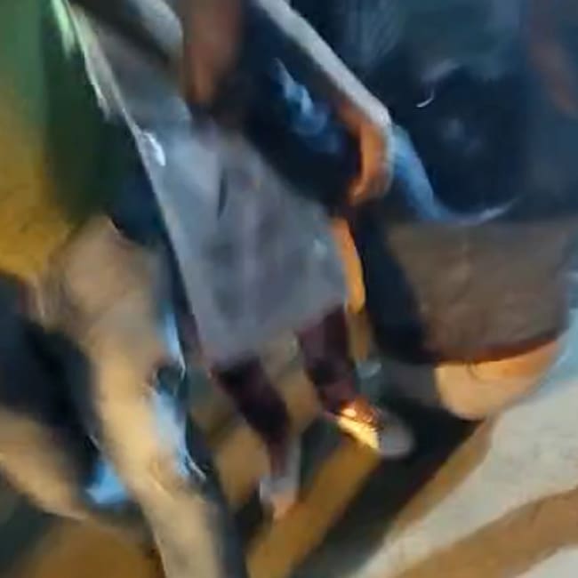 Captura de video