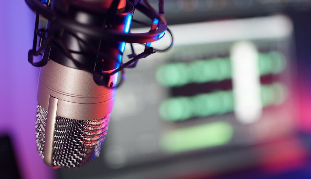 “El pulpo”: la canción de Carlos Iván Plazas, exministro y exconsejero OEA