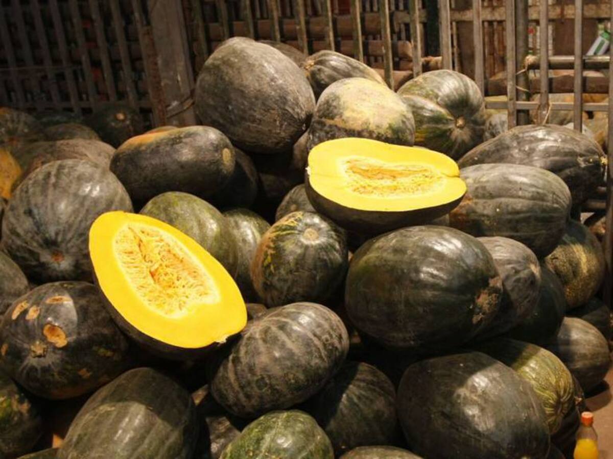 Conozca la ahuyama, prepárela y disfrútela con cultivadoras del Meta