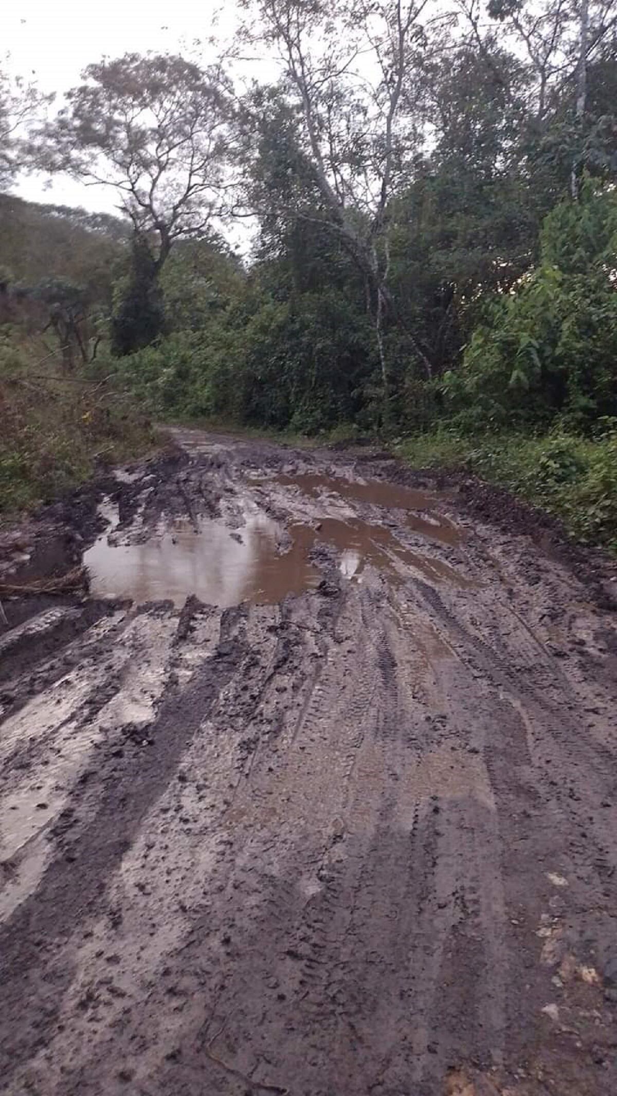 El invierno tiene afectada la vía que comunica a Prado con Purificación y Dolores en el Tolima.