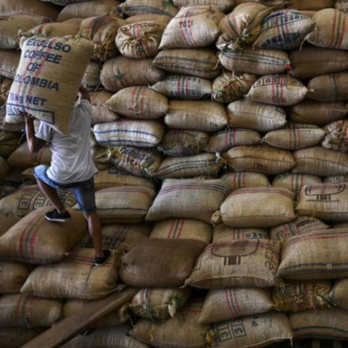 Más de 600 mil sacos de café de exportación están represados en Risaralda