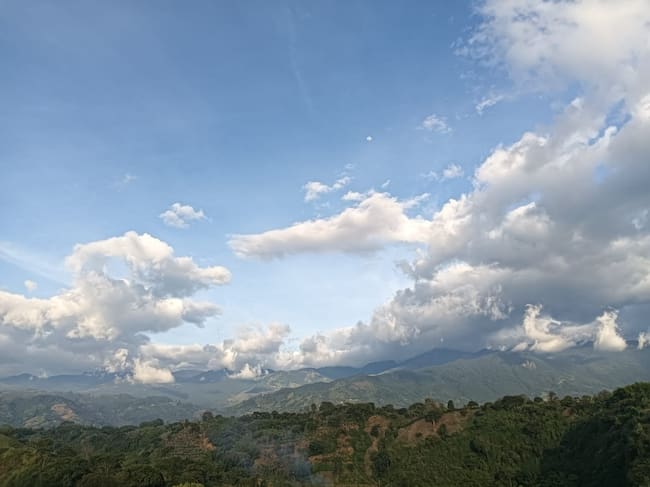 Días de cielo azul en el paisaje del Quindío. Foto Adrián Trejos