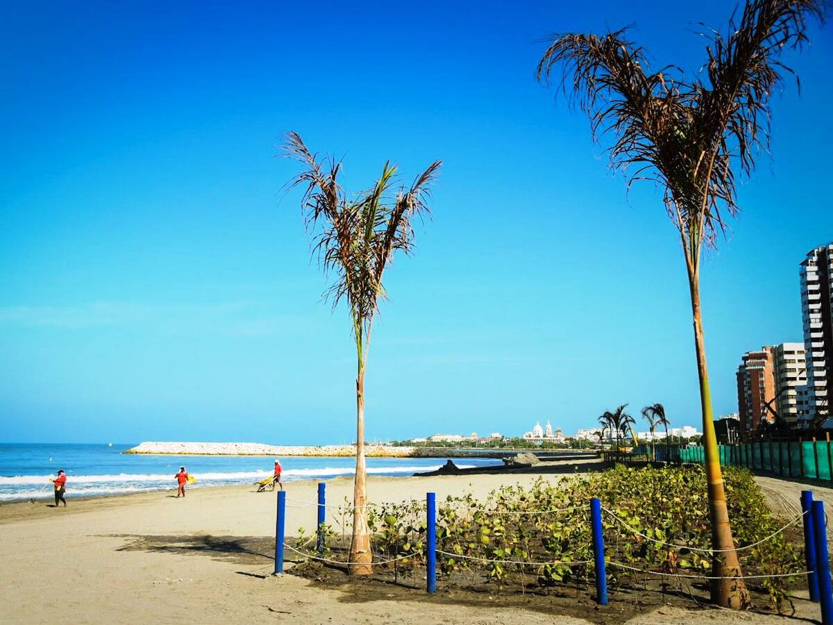 Lista la Playa 5 del proyecto de Protección Costera después de un año