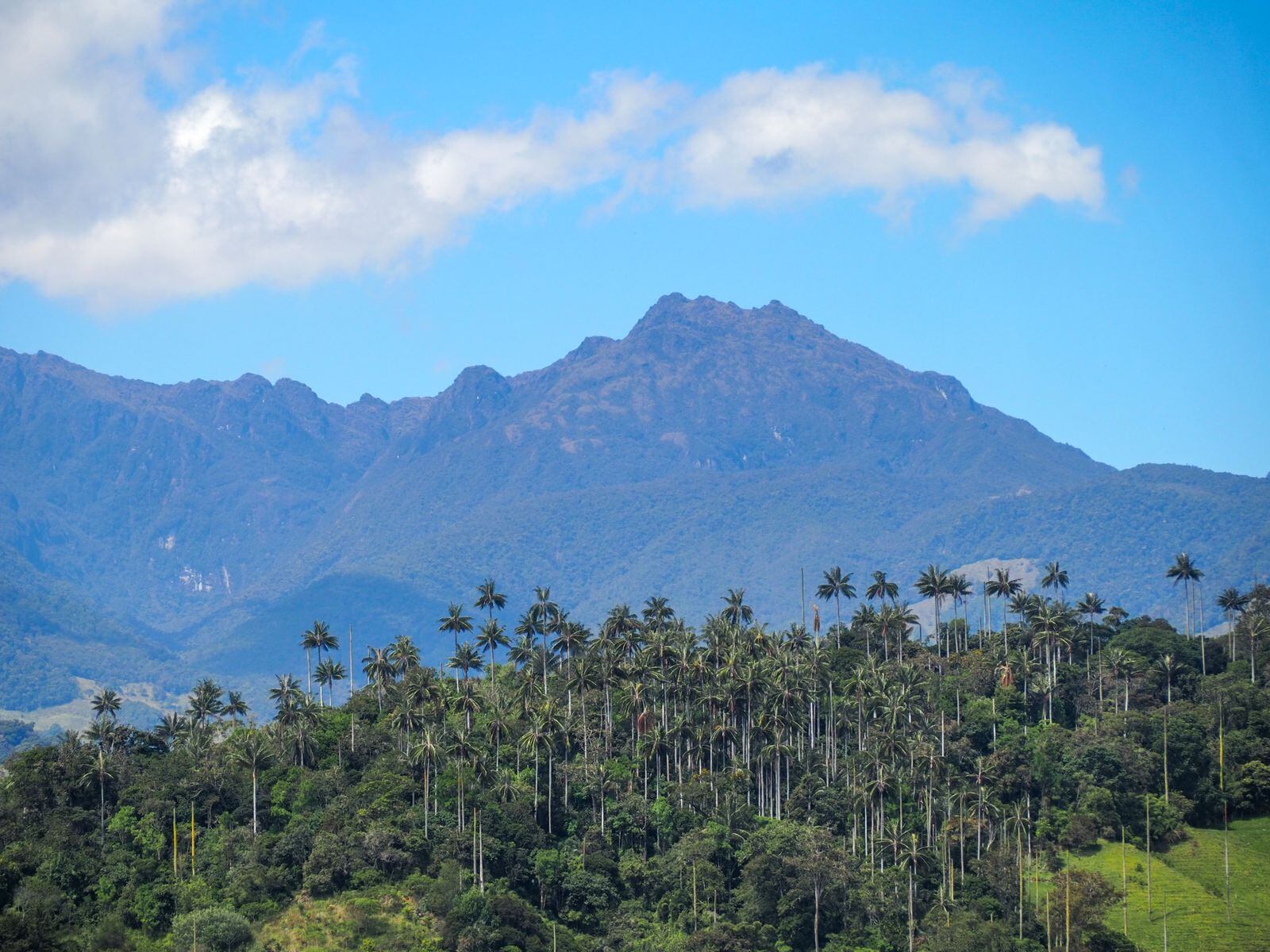 Paisaje de Roncesvalles, Tolima