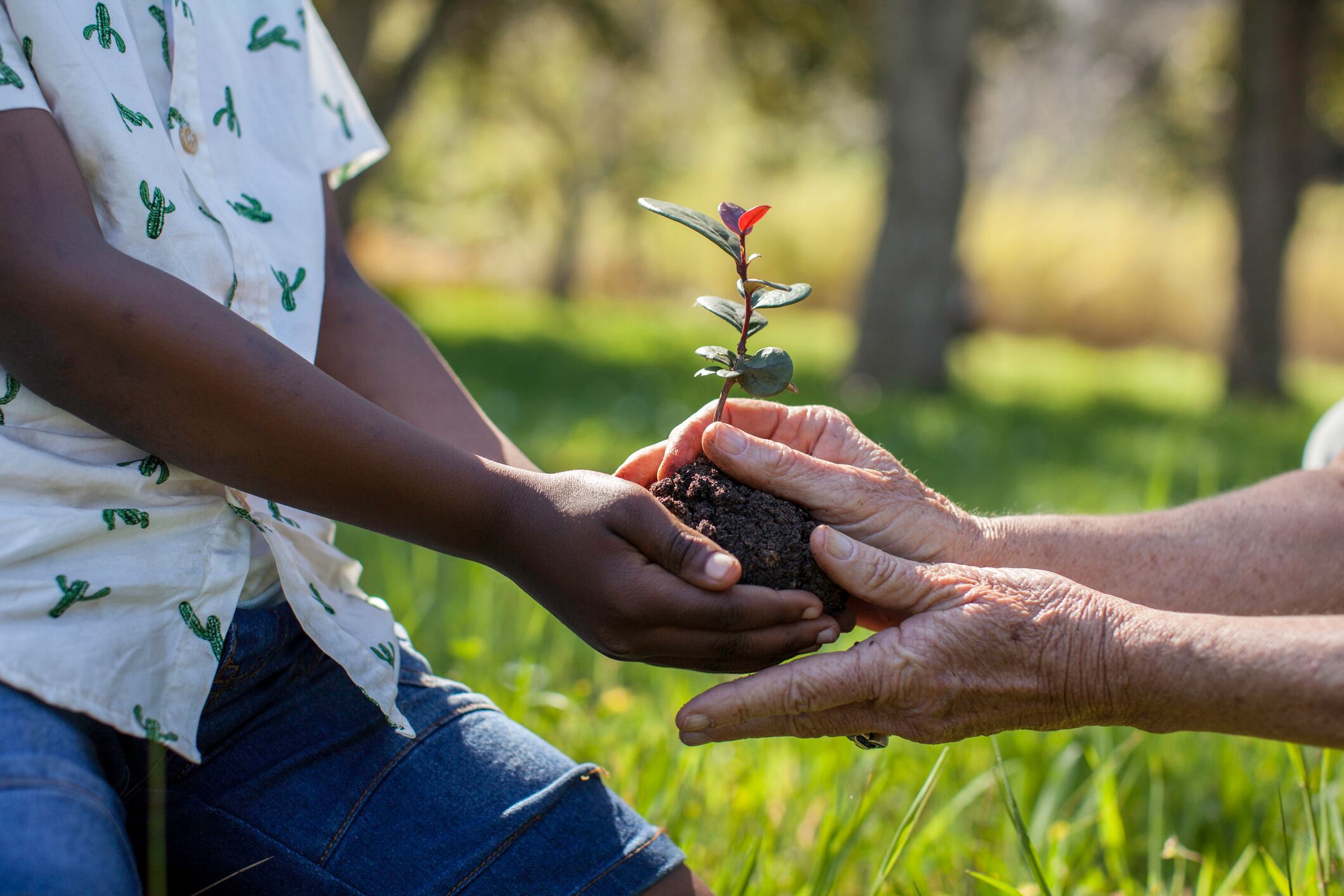 Medio ambiente. Imagen de referencia. Foto: Getty Images