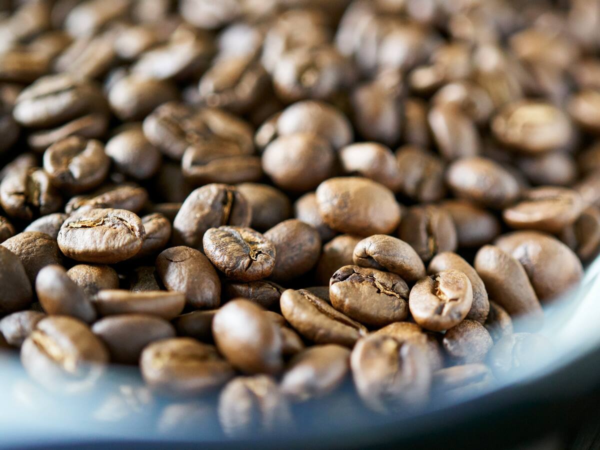 Empresarios venezolanos quieren invertir en agro colombiano