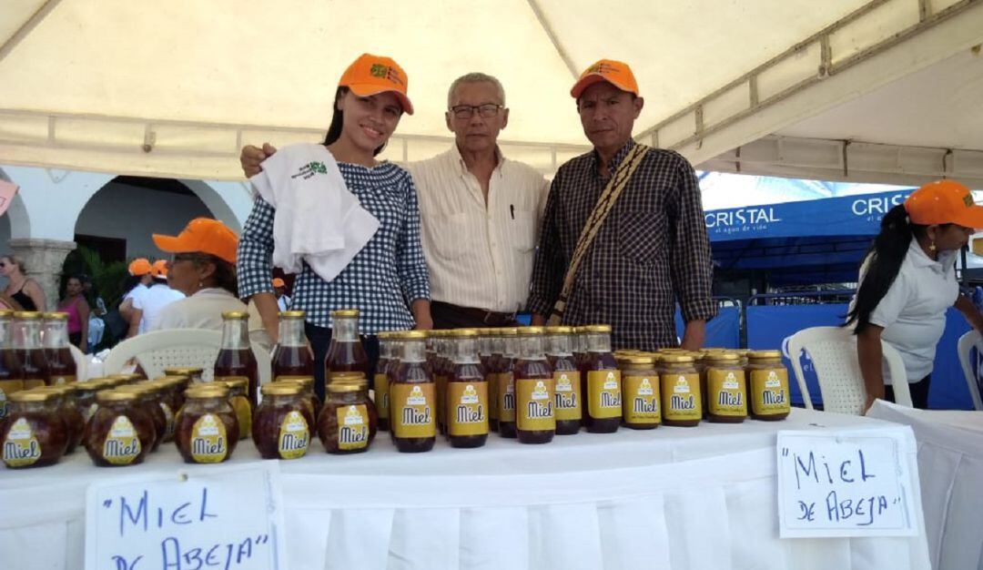 Ñame, plátano, popocho, berenjena, limón, ají, auyama, queso, suero, naranja y chepacorina, son otros de los productos que se ofertarán