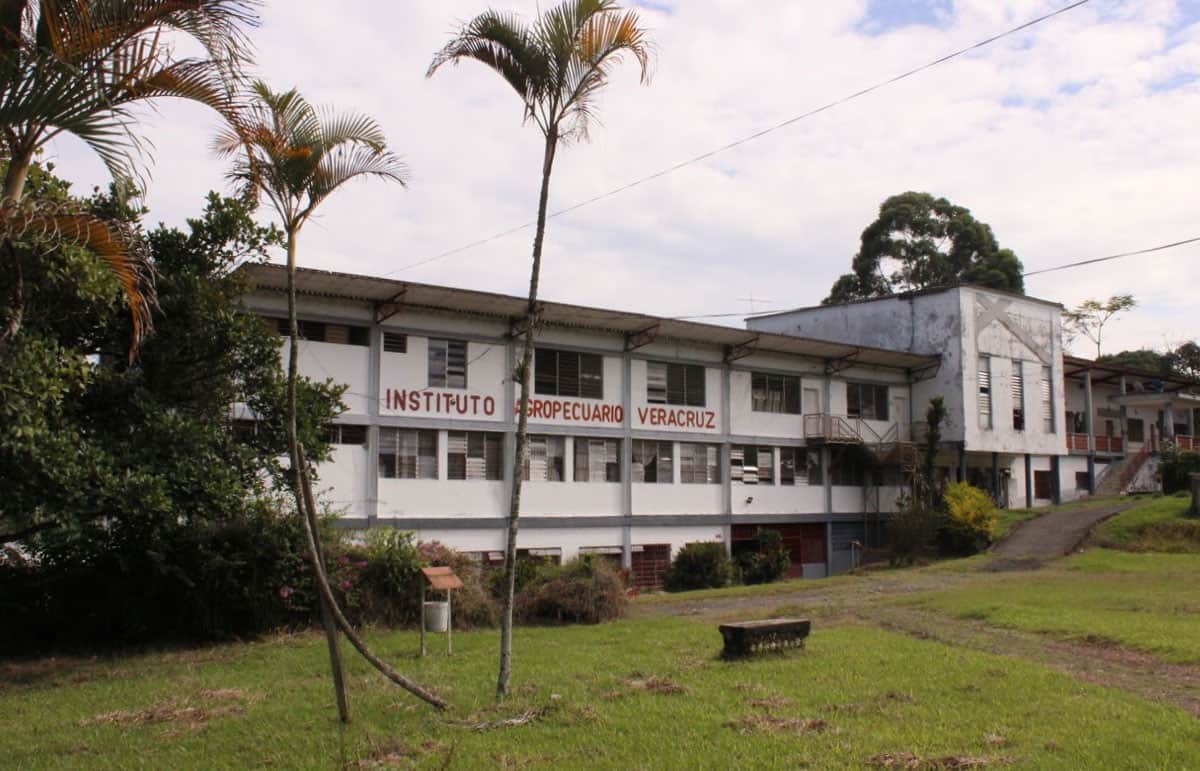 Foto: Instituto Agropecuario Veracruz