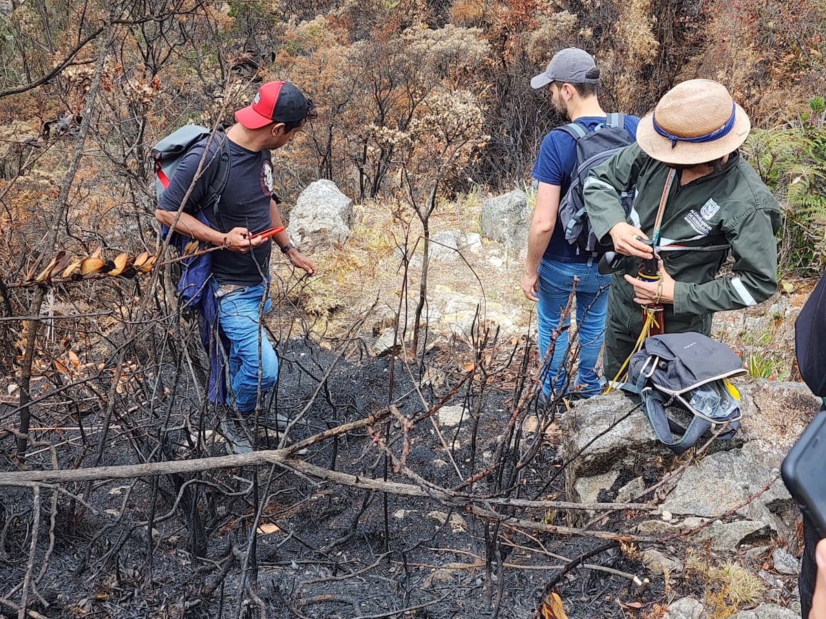 Distrito y el Instituto Humboldt anunciaron convenio para el monitoreo de la biodiversidad