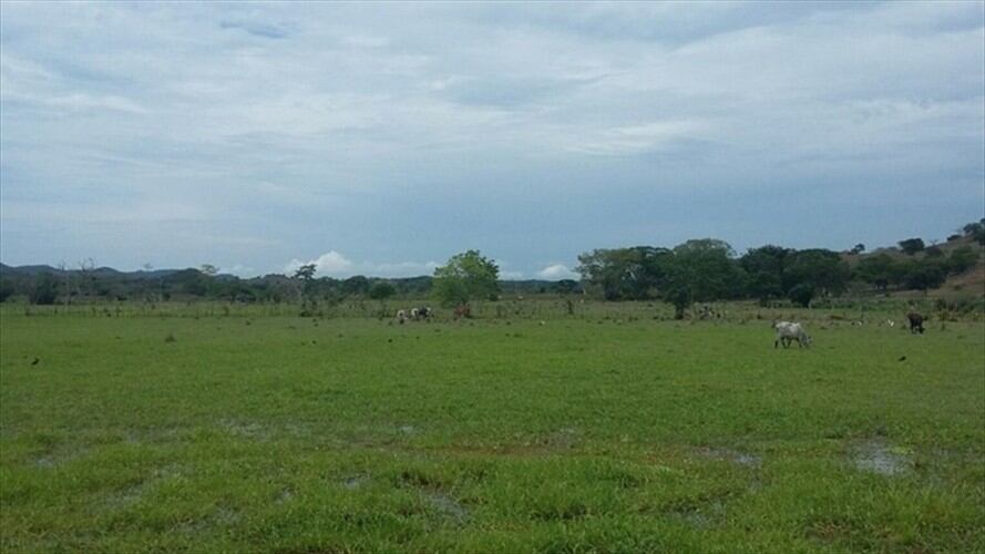 potrero en Cundinamarca. Foto: Colprensa