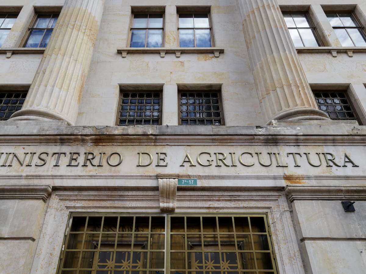 MinAgricultura aclara llamado sobre siembra de arroz en La Guajira por pérdidas y altos costos