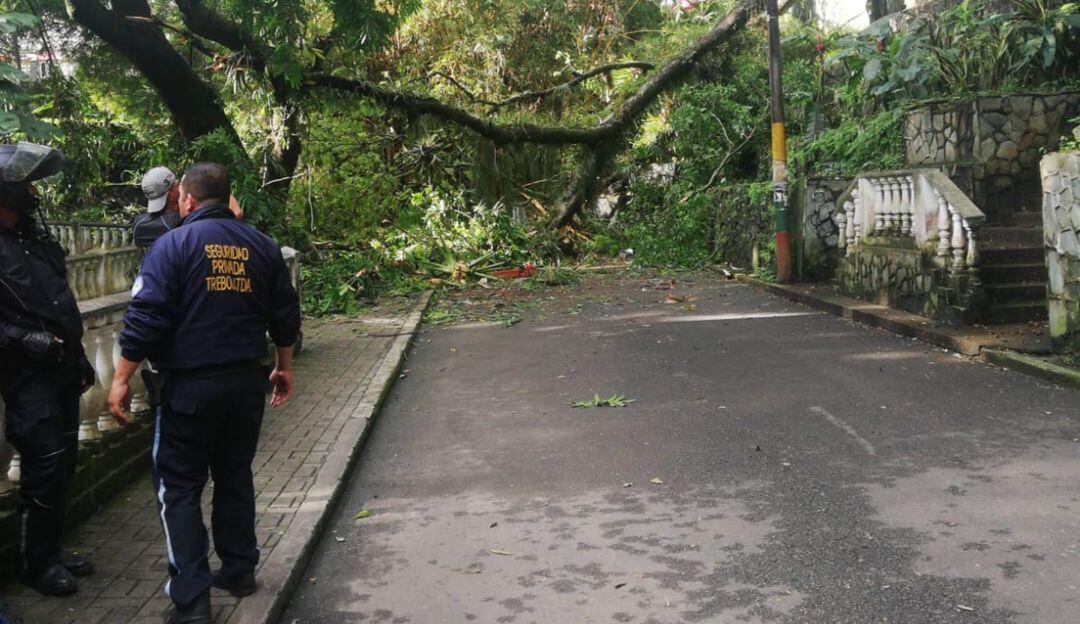 Parque Centenario de Ibagué 