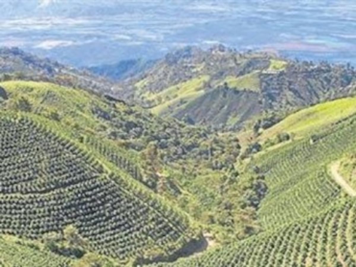 Aplazan creación de zona de reserva campesina en el Catatumbo
