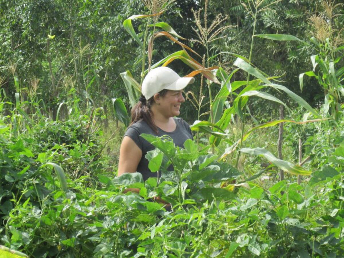 Funcionarios de la FAO priorizarán seguridad alimentaria en Bolívar