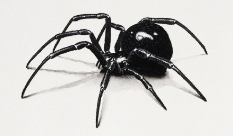 Imagen de referencia