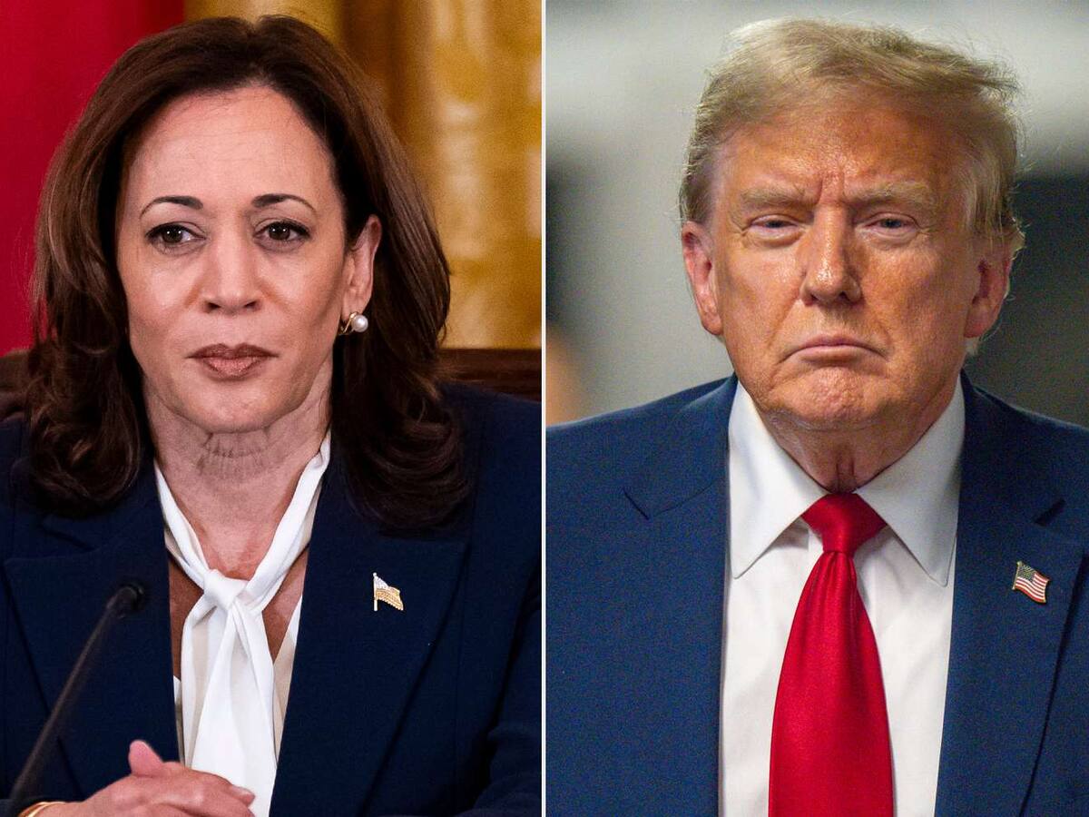 La vicepresidenta de EE.UU. Kamala Harris gana terreno como posible relevo de Joe Biden