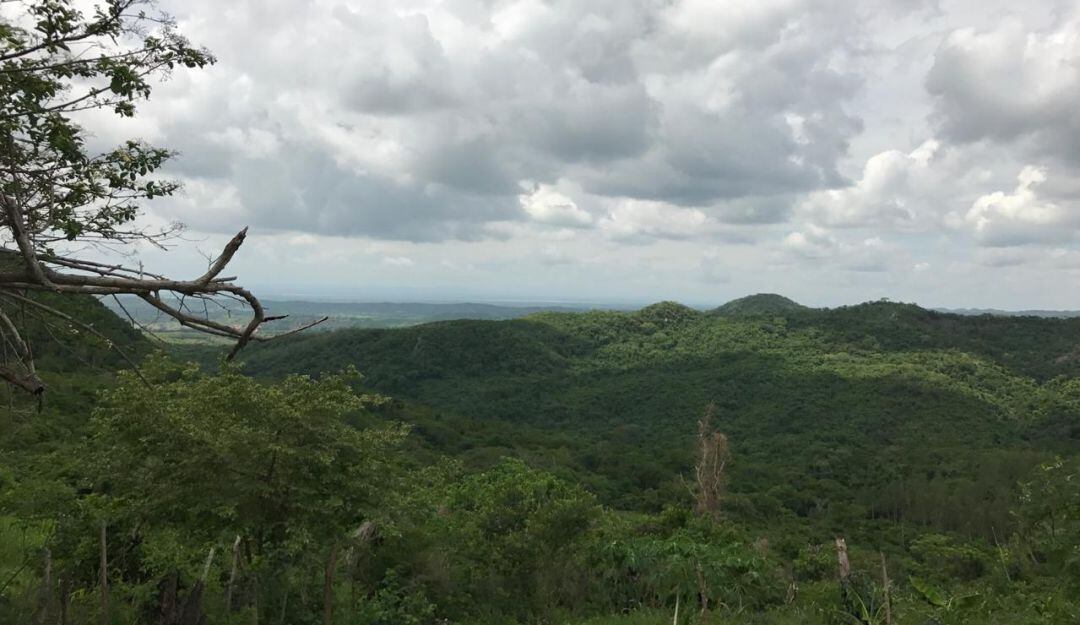 ARCHIVO/ Áreas protegidas en Repelón - Atlántico
