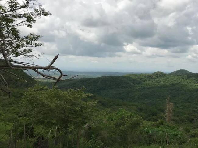 ARCHIVO/ Áreas protegidas en Repelón - Atlántico