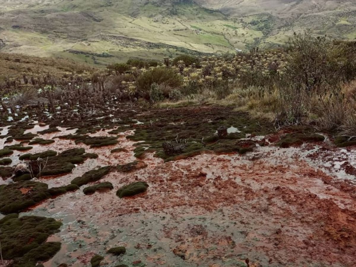 Con mesa de trabajo evaluarán contaminación de fuentes de agua en Tasco