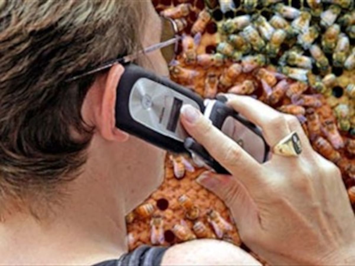 El uso de teléfonos móviles 'puede ser cancerígeno': Organización Mundial de la Salud