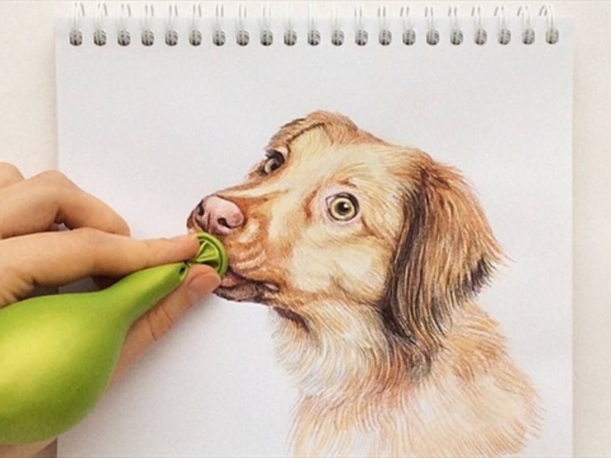 Los perros se salen del papel en los dibujos de Valerie Susoloparova