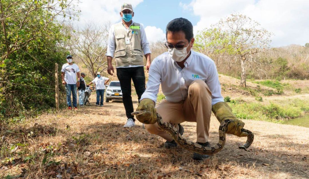 EPA y Policía Ambiental continúan con operativos de fauna y flora silvestres