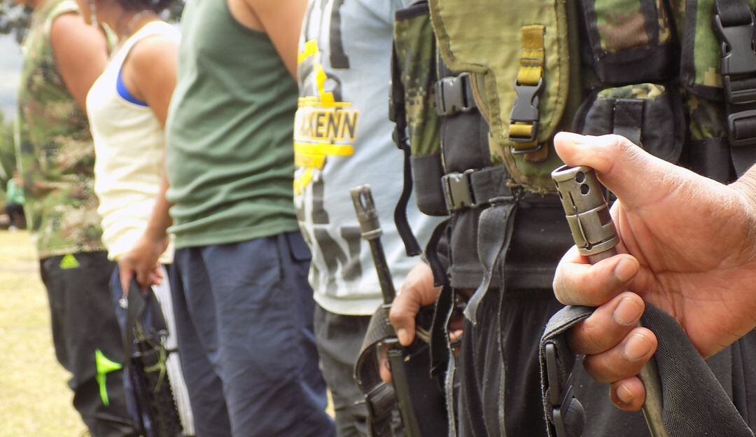 Imagen de referencia.