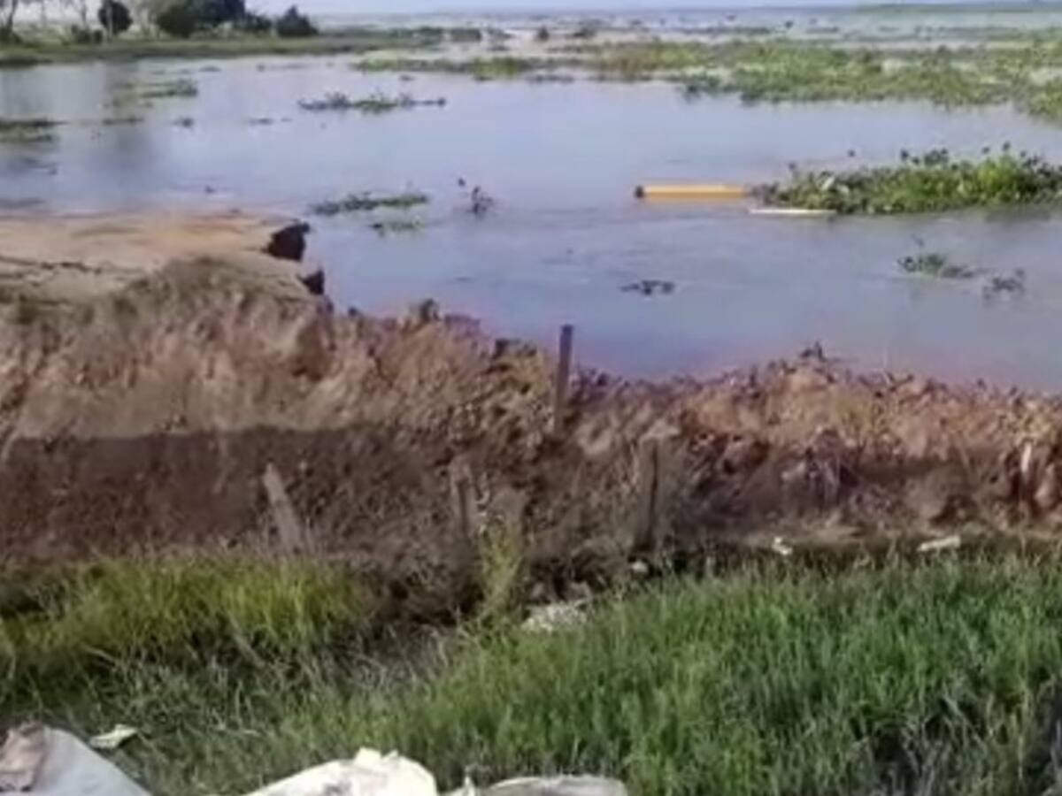 En Salamina no cesa la fuerte arremetida del río ni la incertidumbre