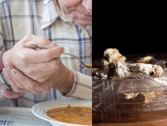 Hongos, párkinson, imágenes de referencia (Getty Images).