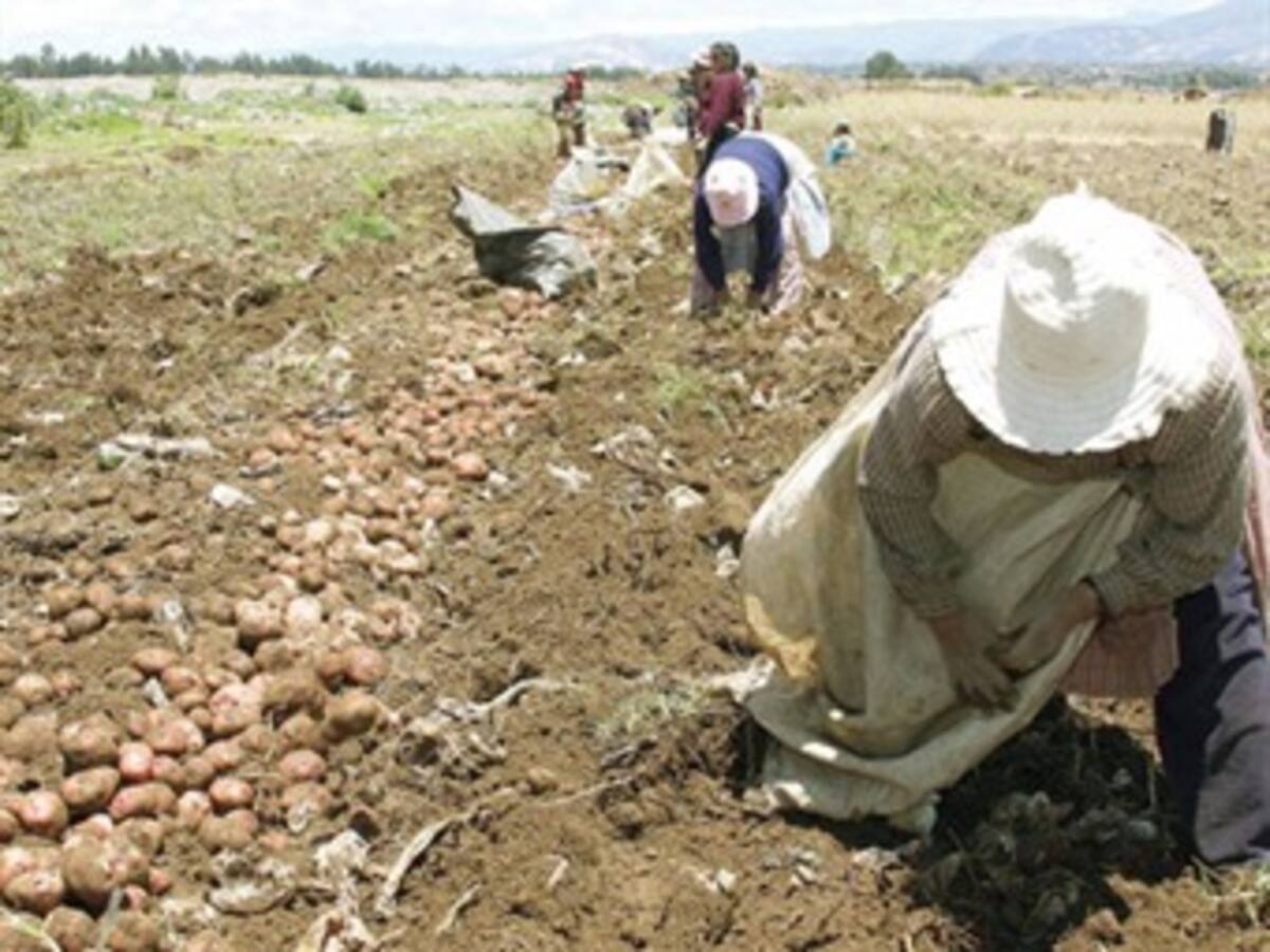 Gobierno reforzará seguridad a líderes de restitución de tierras amenazados