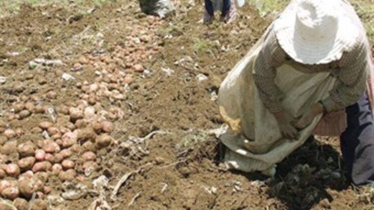 Gobierno reforzará seguridad a líderes de restitución de tierras amenazados