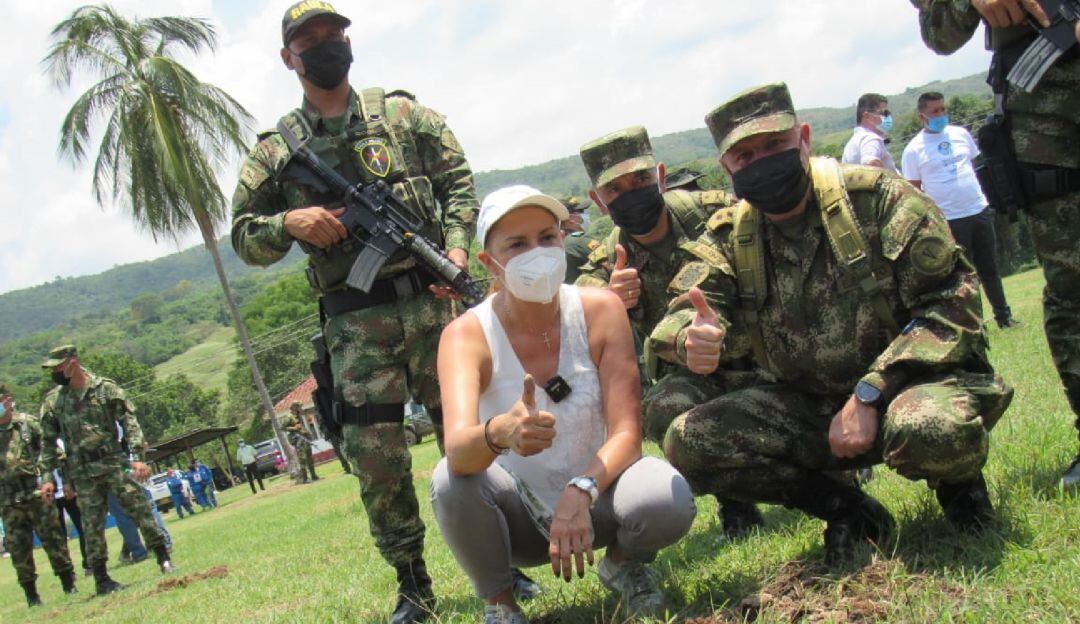 Campaña de Reforestación